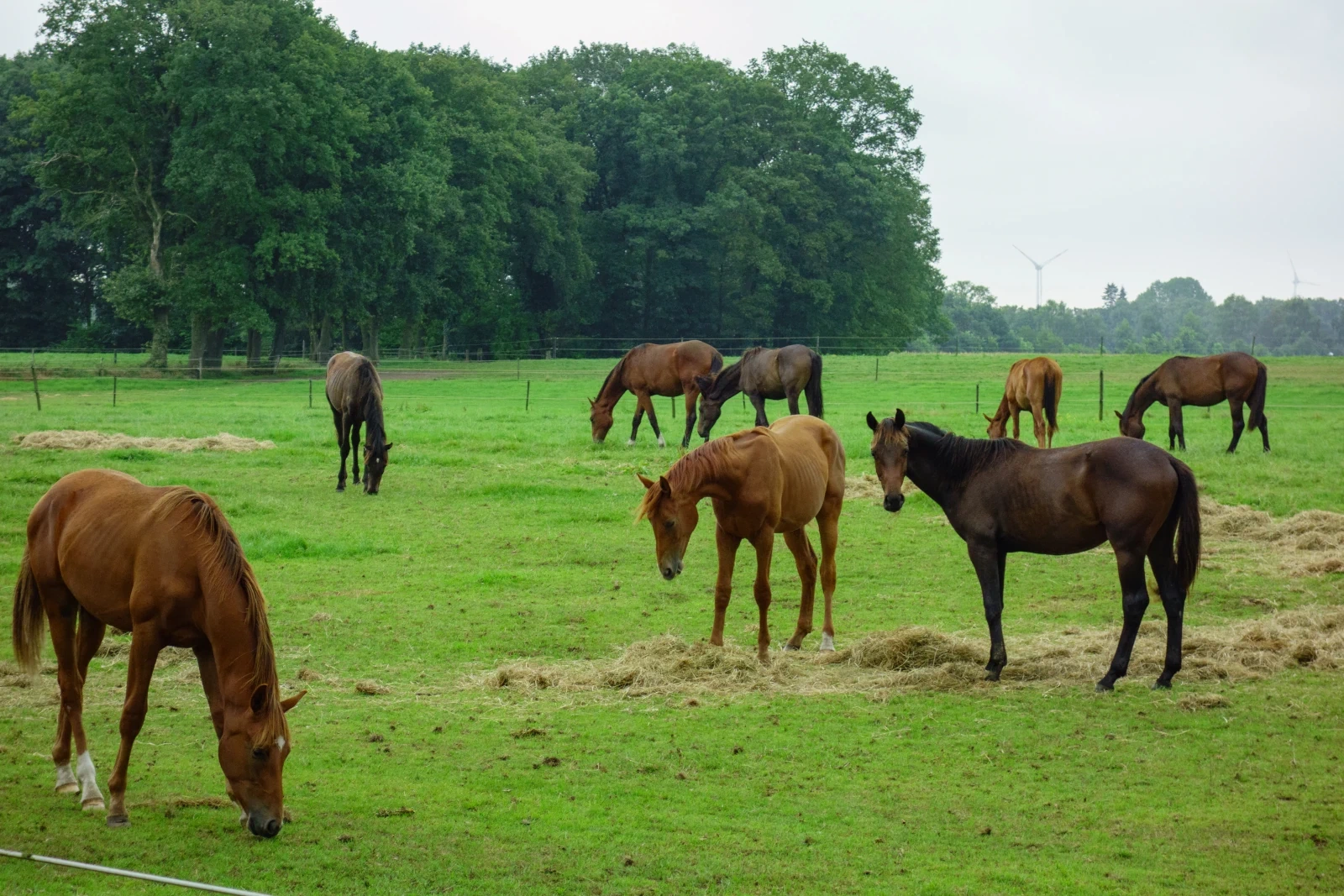 Impressie van Aalten