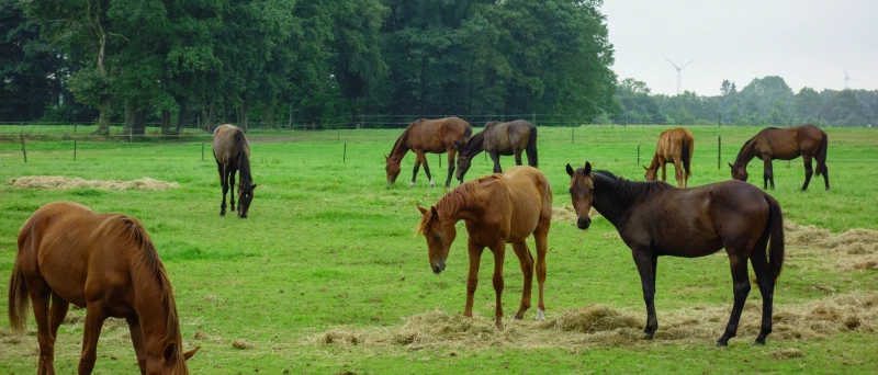 Impressie van Aalten