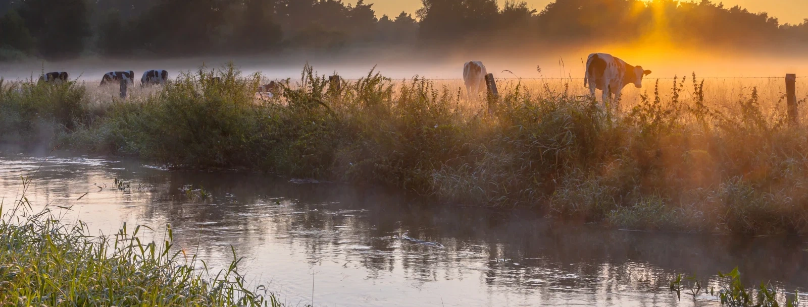 Impressie van Dinkelland in de ochtend