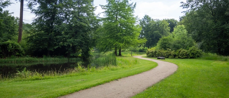 Groene omgeving van Epe