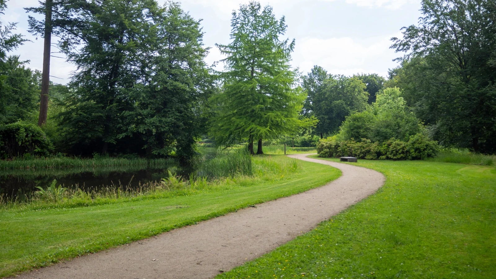 Groene omgeving van Epe