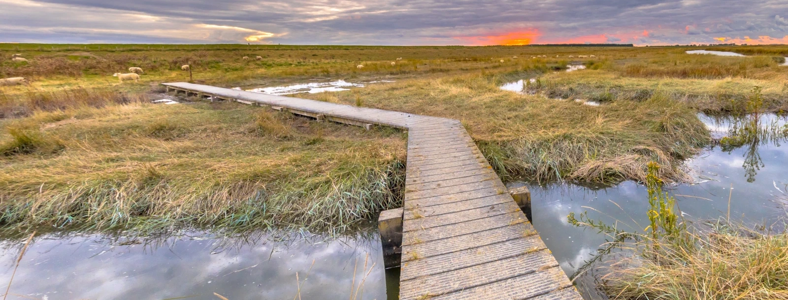 Impressie van omgeving Hulst