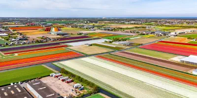 Lisse