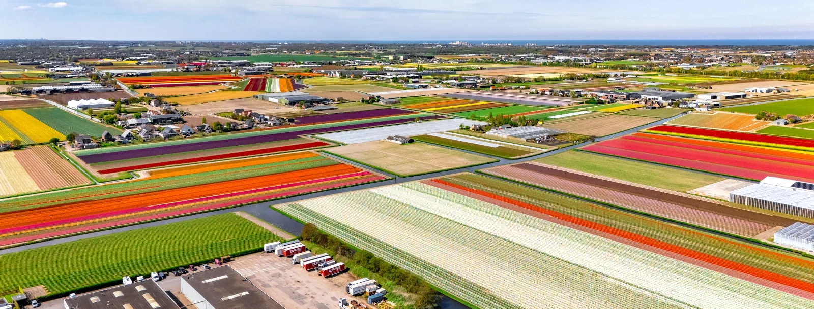 Sfeerimpressie van de gemeente Lisse