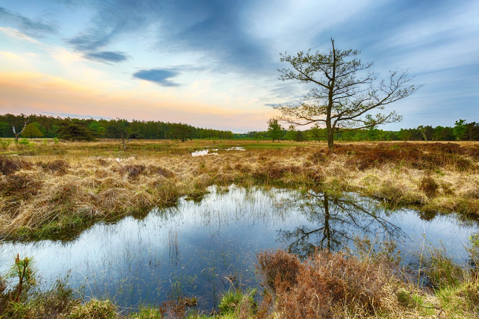 Karakteristieke omgeving in Midden-Drenthe