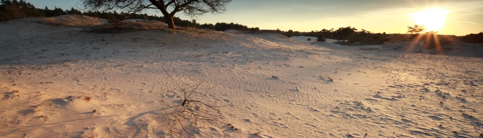 Nunspeter zandduinen
