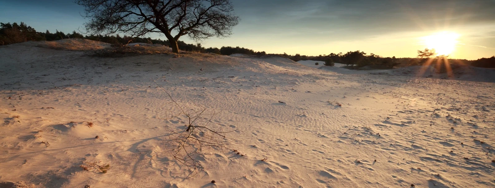 Nunspeter zandduinen