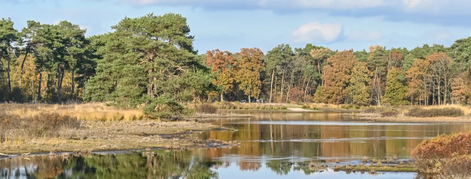 Sfeerbeeld van Waalre