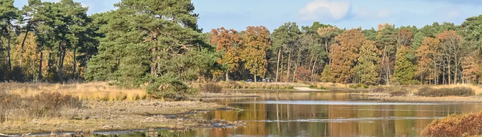 Sfeerbeeld van Waalre