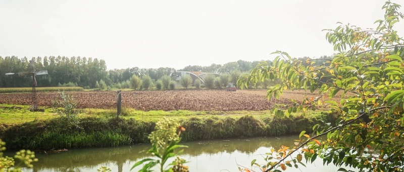 Impressie van West Maas en Waal