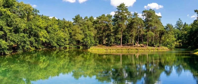 Het bosvijvermeer in Zeist