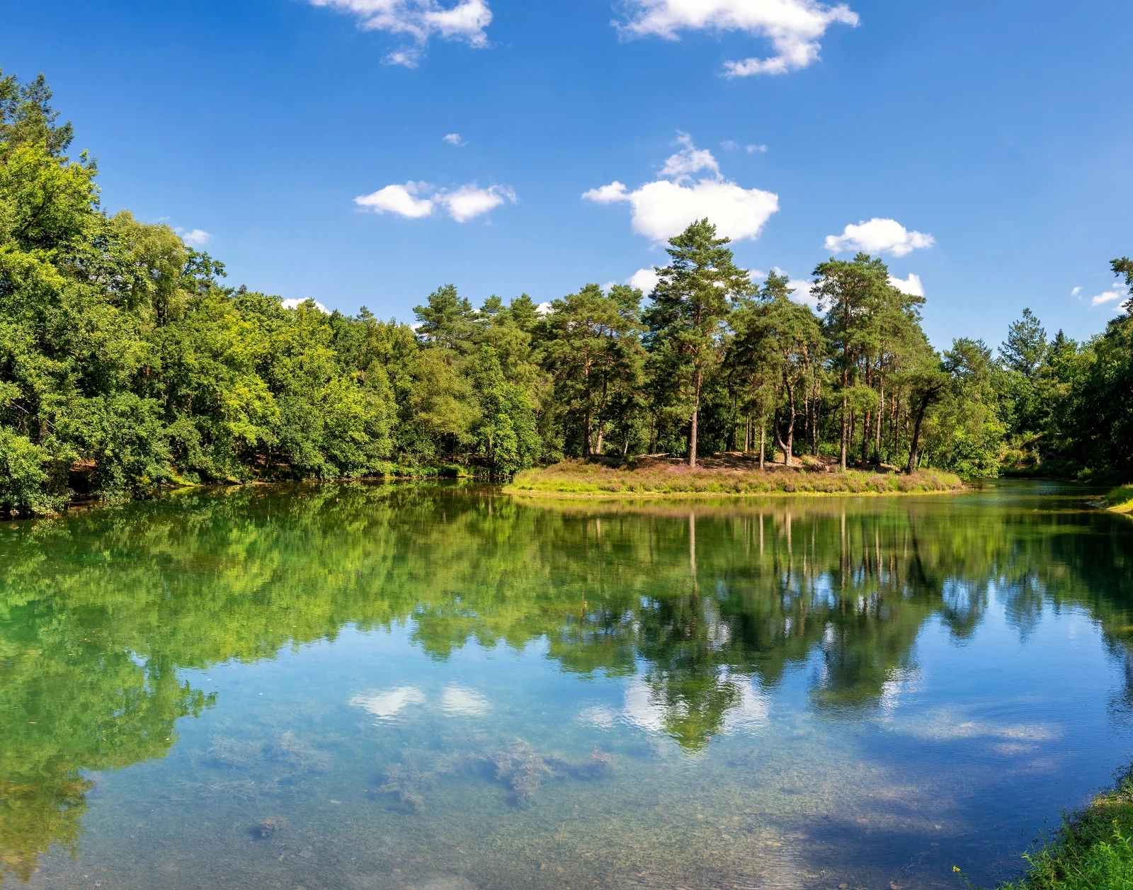 Het bosvijvermeer in Zeist